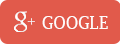 Google icon 